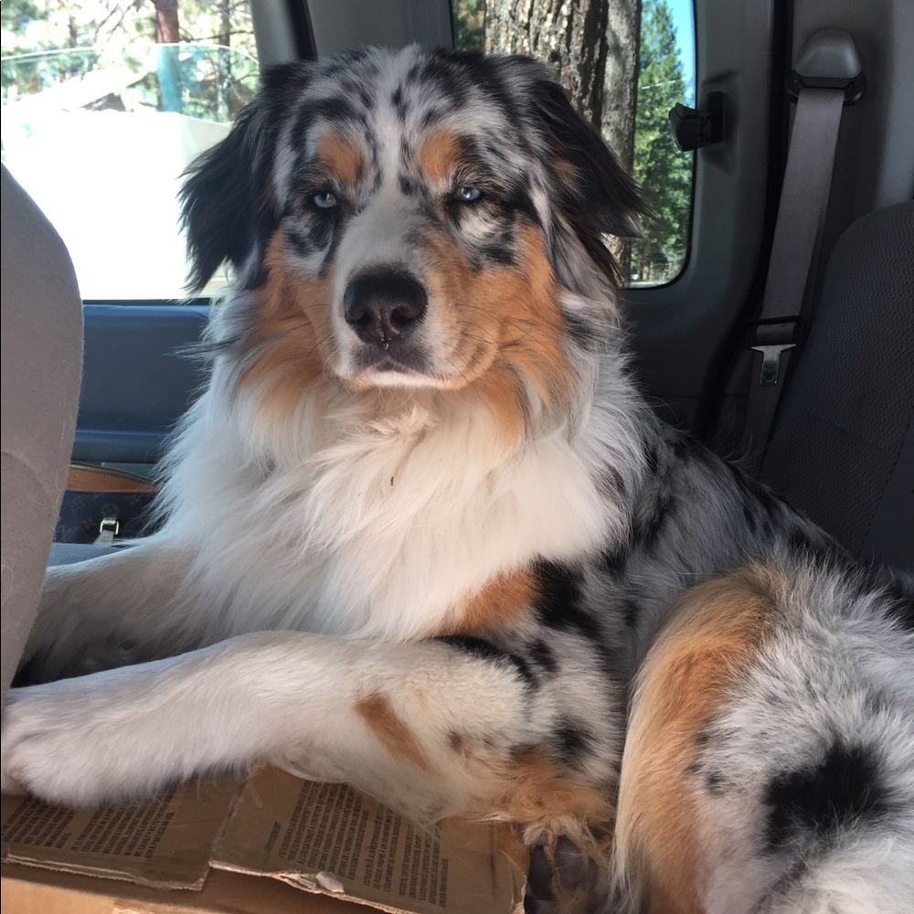 Meet your Posher, Elizabeth